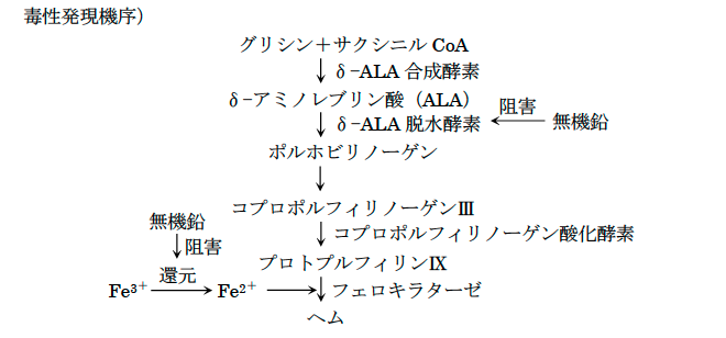 解説画像